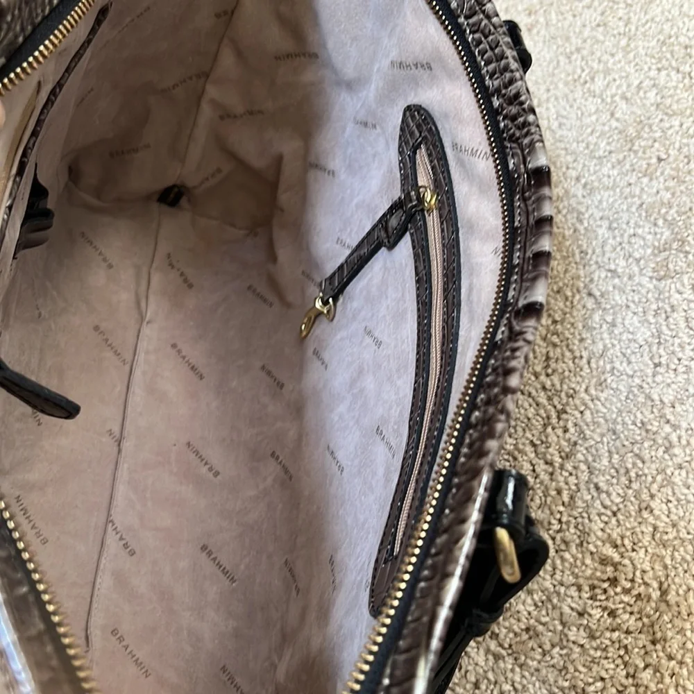 Brahmin melbourne asher